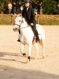 DSC03375 DSC03375