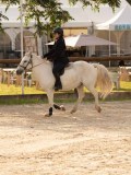DSC03377 DSC03377