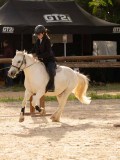 DSC03378 DSC03378