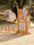 DSC03379 DSC03379
