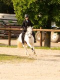 DSC03384 DSC03384