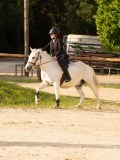 DSC03385 DSC03385