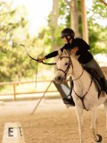 DSC00043 DSC00043