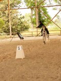 DSC00132 DSC00132