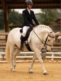 DSC00361 DSC00361