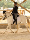 DSC06679 DSC06679