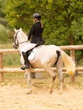 DSC07719 DSC07719