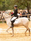 DSC07726 DSC07726