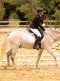 DSC07778 DSC07778