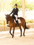 DSC07527