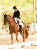 DSC07178 DSC07178