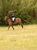 DSC01790 DSC01790