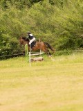 DSC01791 DSC01791