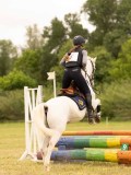 DSC01489 DSC01489