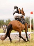 DSC01464 DSC01464