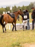 DSC01466 DSC01466