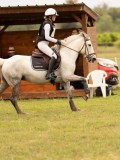 DSC02124 DSC02124