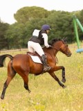 DSC02766 DSC02766