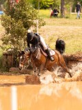 DSC09348 DSC09348