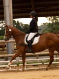 DSC05148 DSC05148