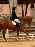 DSC05154 DSC05154