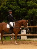 DSC05155 DSC05155