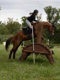 IMG_1994 IMG_1994