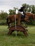 IMG_1995 IMG_1995