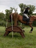 IMG_1996 IMG_1996