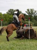 IMG_1997 IMG_1997