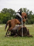 IMG_1998 IMG_1998