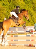 DSC04495 DSC04495