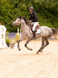 DSC01460 DSC01460