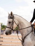 DSC05668 DSC05668