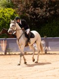 DSC05686 DSC05686