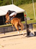 DSC04510 DSC04510