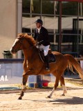 DSC04514 DSC04514