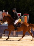 DSC04516 DSC04516