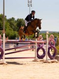 DSC03378 DSC03378