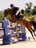 DSC03380 DSC03380