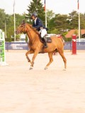 DSC00531 DSC00531