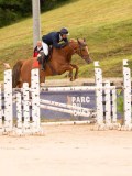 DSC00538 DSC00538
