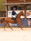 DSC00539 DSC00539