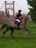 IMG_0520