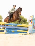 DSC01928 DSC01928