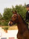 DSC03879 DSC03879