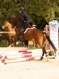 DSC03884 DSC03884