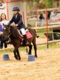 DSC00979 DSC00979