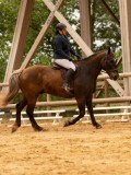 DSC00729 DSC00729
