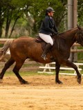 DSC00734 DSC00734